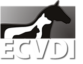ECVDI logo
